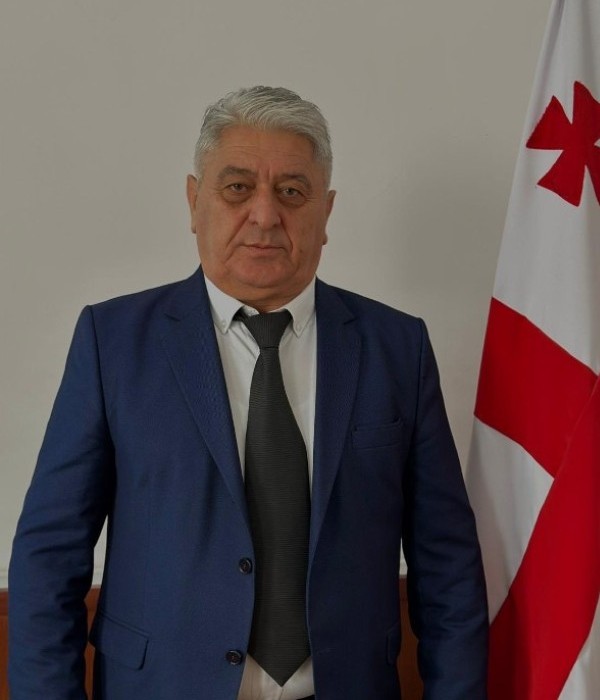 გიორგი მეიშვილი